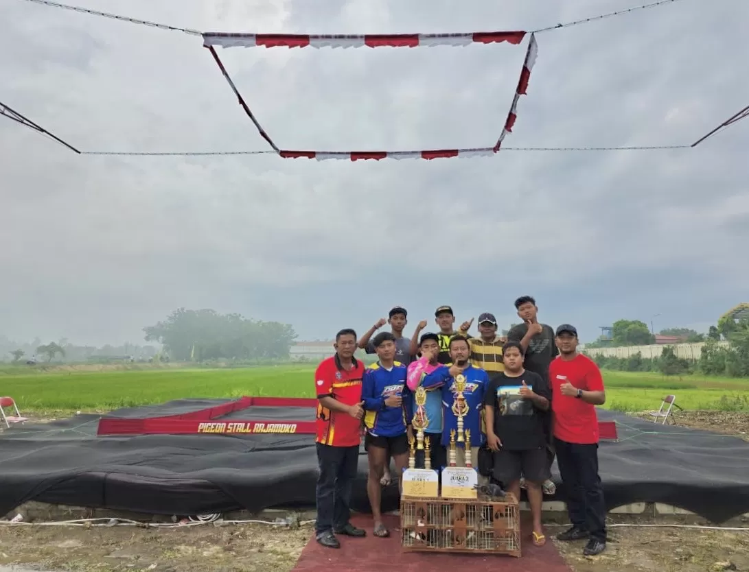 Pigeon Stall Rajamoko yang lebih aman untuk Merpati (Ist)