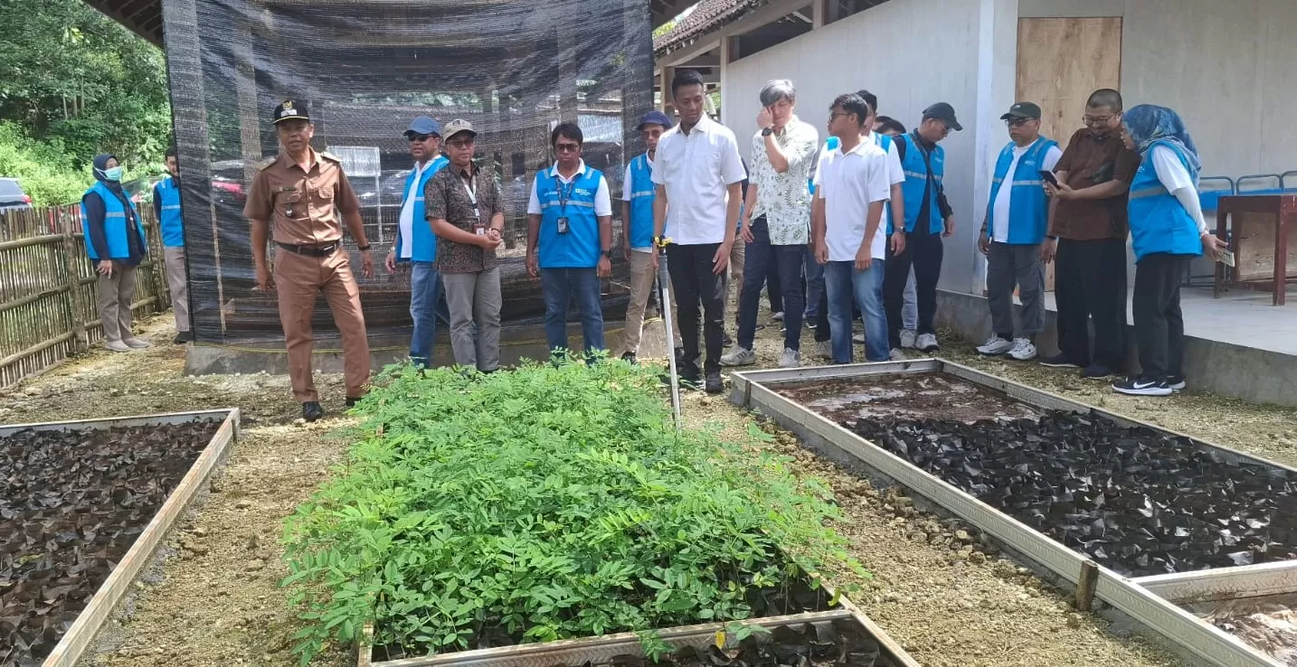 Gusti Marrel bersama rombongan tinjau rumah pembibitan. (Dedy EW)
