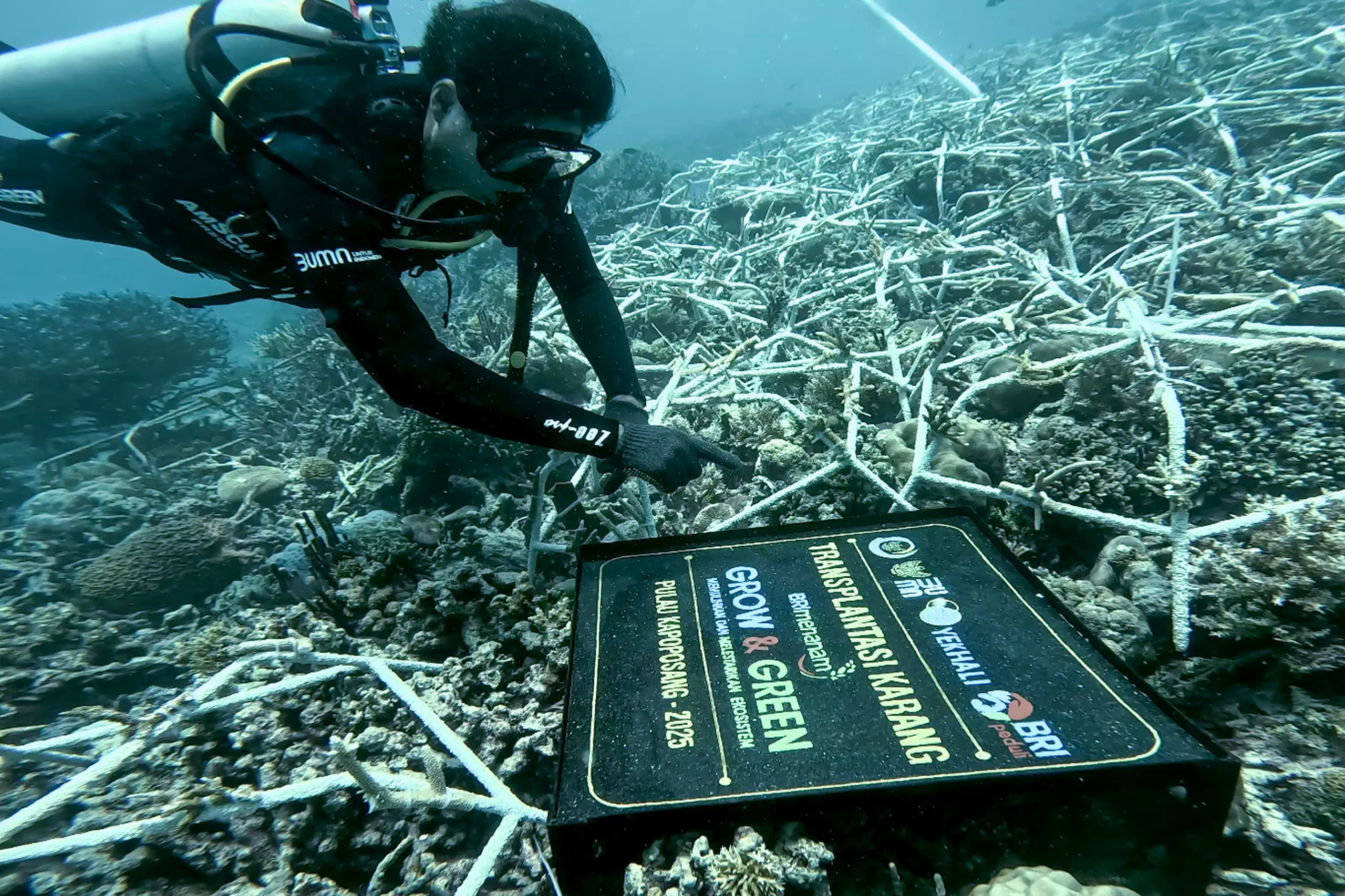 BRI mendukung ekosistem lingkungan hidup dan pemberdayaan masyarakat (Ist)