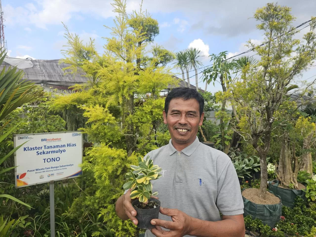 Ini Kisah Klaster Usaha Tanaman Hias Binaan BRI  (istimewa)