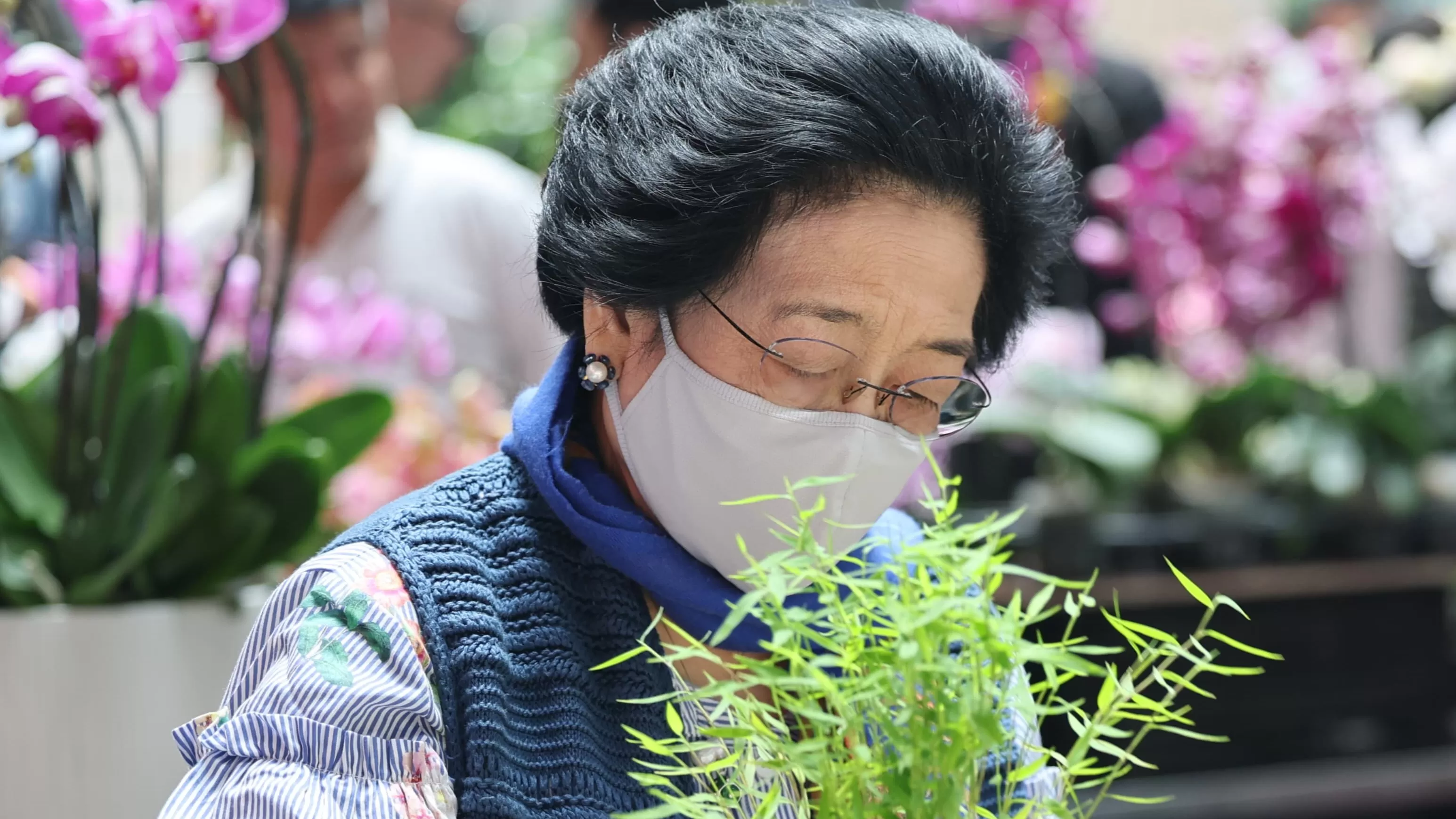 Megawati Soekarnoputri di tengah  tanaman dan lingkungan yang asri. (Foto Dokumen) 