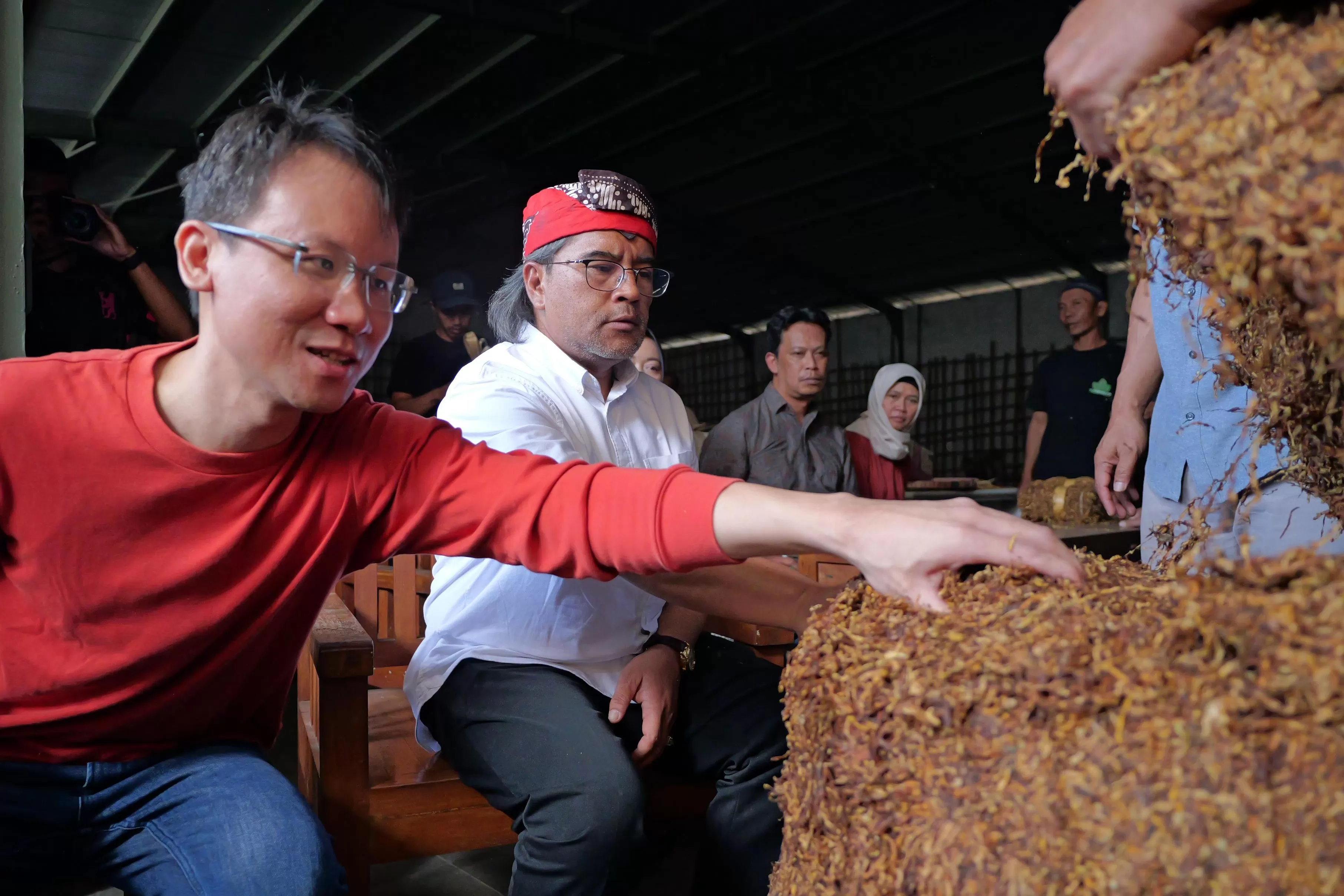 Aktivitas penjualan tembakau (Ist)