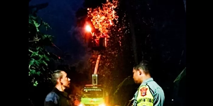 Evakuasi sarang lebah yang telah menewaskan nenek Walbiyah. (Foto: Judiman)