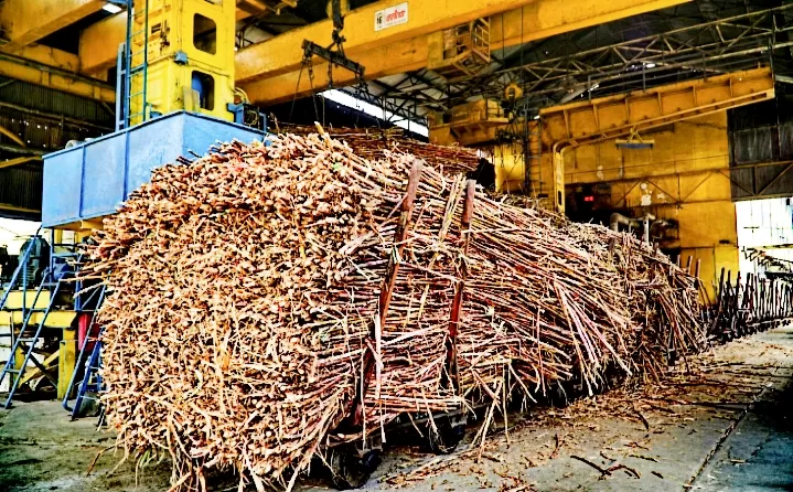 Tebu terakhir digiling menandai berakhirnya musim giling PG- PS Madukismo 2025. (Judiman)