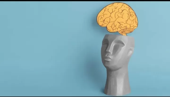 Alzheimer bagi sebagian orang masih terasa asing. Alzheimer merupakan jenis demensia terbanyak secara global. Bisa mencapai 60&ndash;80 persen dari seluruh kasus demensia (Istimewa )