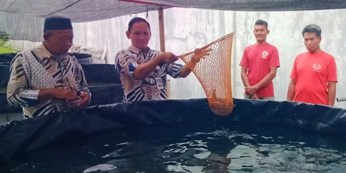 Kepala Rutan Bantul sedang cek kondisi lele yang akan dipakai untuk peringatan Natal.