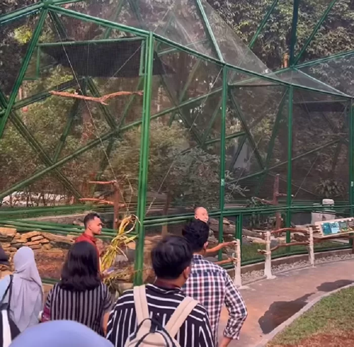 Taman Burung Jagat Satwa Nusantara TMII. (Foto: Tangkap layar Instagram @tmiiofficial)