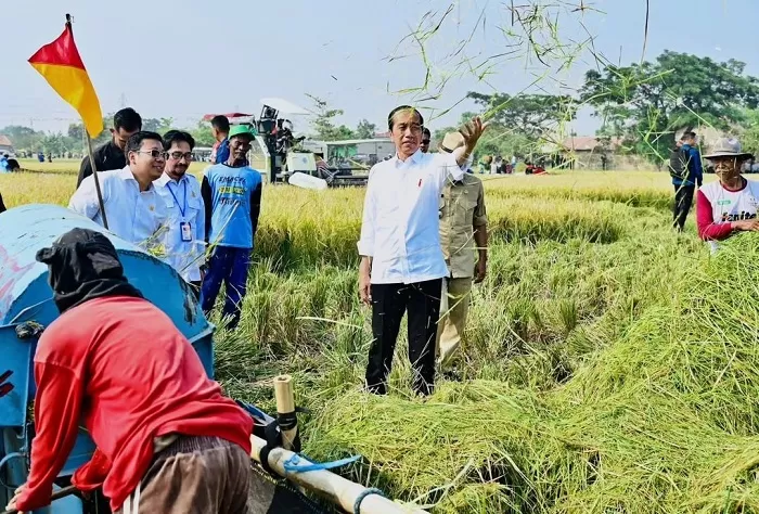 Jokowi bersama Plt Mentan, Arief Prasetyo Adi menghadiri panen raya di Subang. (Foto: Instagram @jokowi)