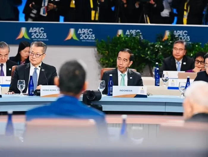 Presiden Jokowi di kegiatan APEC Economic Leaders Retret. (Foto: Dok. Joko Widodo)