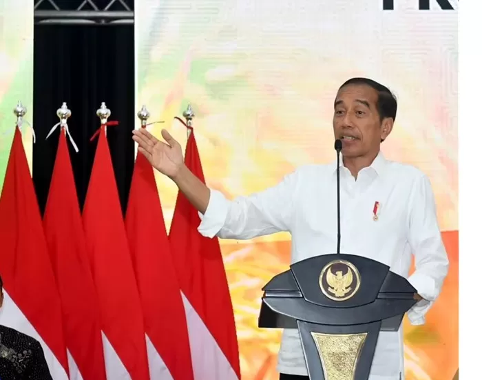 Presiden RI, Joko Widodo. (Foto: Dok. Jokowi)