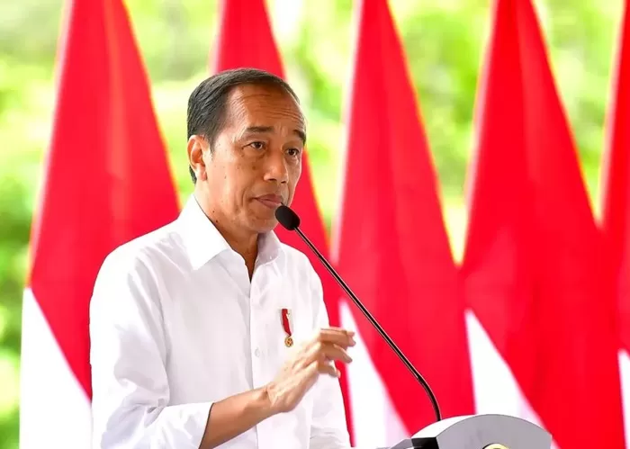 Presiden Joko Widodo (Jokowi). (Foto: Instagram @jokowi)