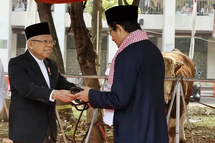 Wapres Ma'ruf Amin menyerahkan ekor sapi kurban kepada Imam Masjid Istqlal, Nasaruddin Umar. (Foto: Instagram @kyai_marufamin)