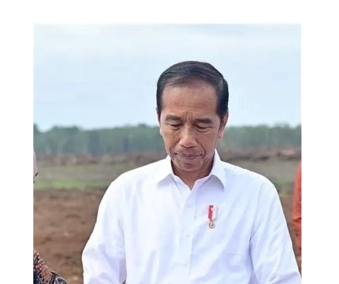 Presiden RI, Joko Widodo (Jokowi). (Foto: Instagram @jokowi)