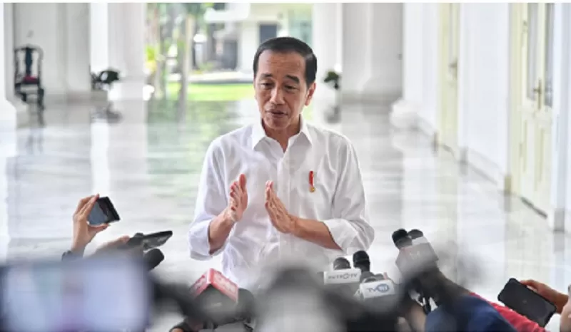 Potret Presiden Jokowi. (Foto: BPMI Setpres/Vico)