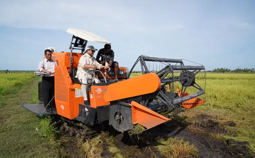 Momen seorang petani Merauke, Arie, mendampingi Presiden Prabowo mengemudikan langsung mesin combine harvester di sawah, Minggu (3/11/2024). (Foto: Tim Prabowo)