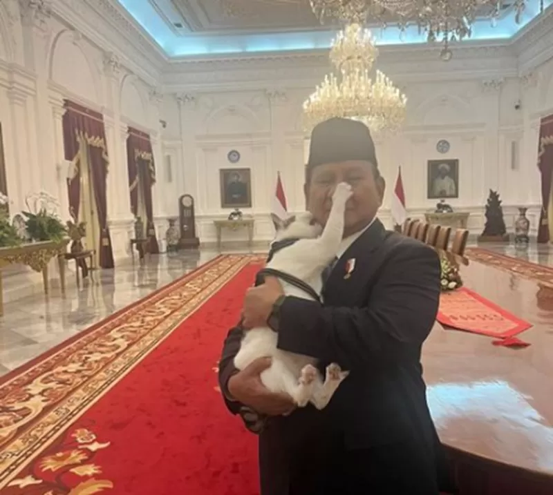 Potret Presiden Prabowo menggendong Bobby the Cat di istana Kepresidenan. (Foto: Instagram.com/@prabowo)