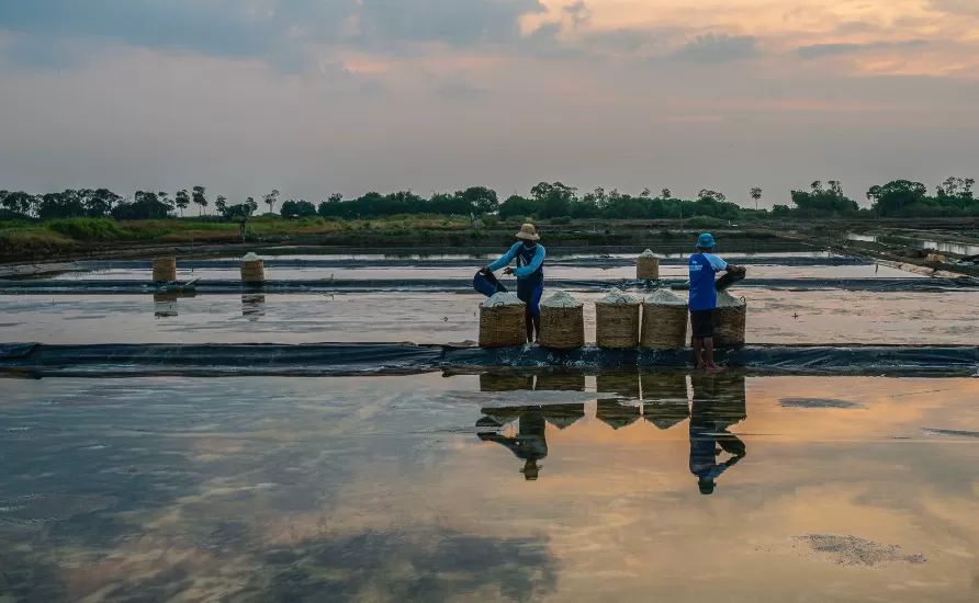 BRI terus menunjukkan komitmen kuat dalam mendukung pembangunan berkelanjutan di Indonesia. (Foto: Dok. BRI)