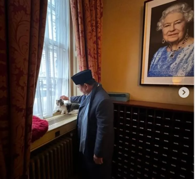 Potret Presiden Prabowo Subianto mengelus Larry the Cat di kediaman sekaligus kantor Perdana Menteri (PM) Inggris, Keir Starmerdi, Kamis (21/11/2024). (Foto: Instagram.com/@prabowo)