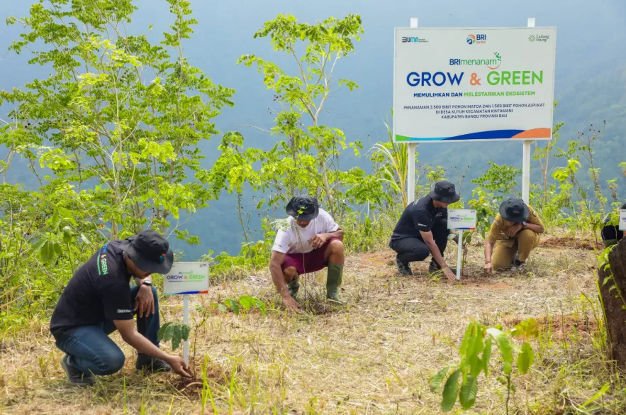 Potret pelaksanaan kegiatan program BRI Menanam &ndash; Grow & Green di Desa Kutuh, Kecamatan Kintamani, Kabupaten Bangli, Bali. (Foto: Dok. BRI)