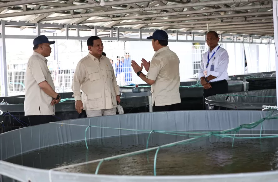 Potret Presiden Prabowo Subianto cek budidaya ikan nila salin di BLUPPB Karawang, Jawa Barat, Senin (2/12/2024). (Foto: Tim Media Prabowo)