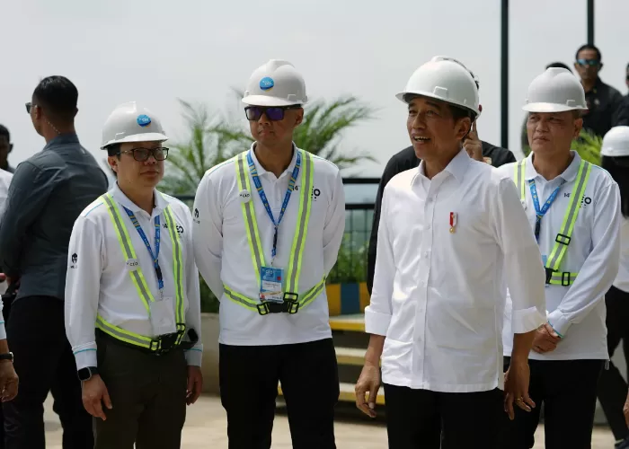 Dampingi Kunjungan Presiden Di IKN, Dirut PLN Siap Penuhi Kebutuhan ...