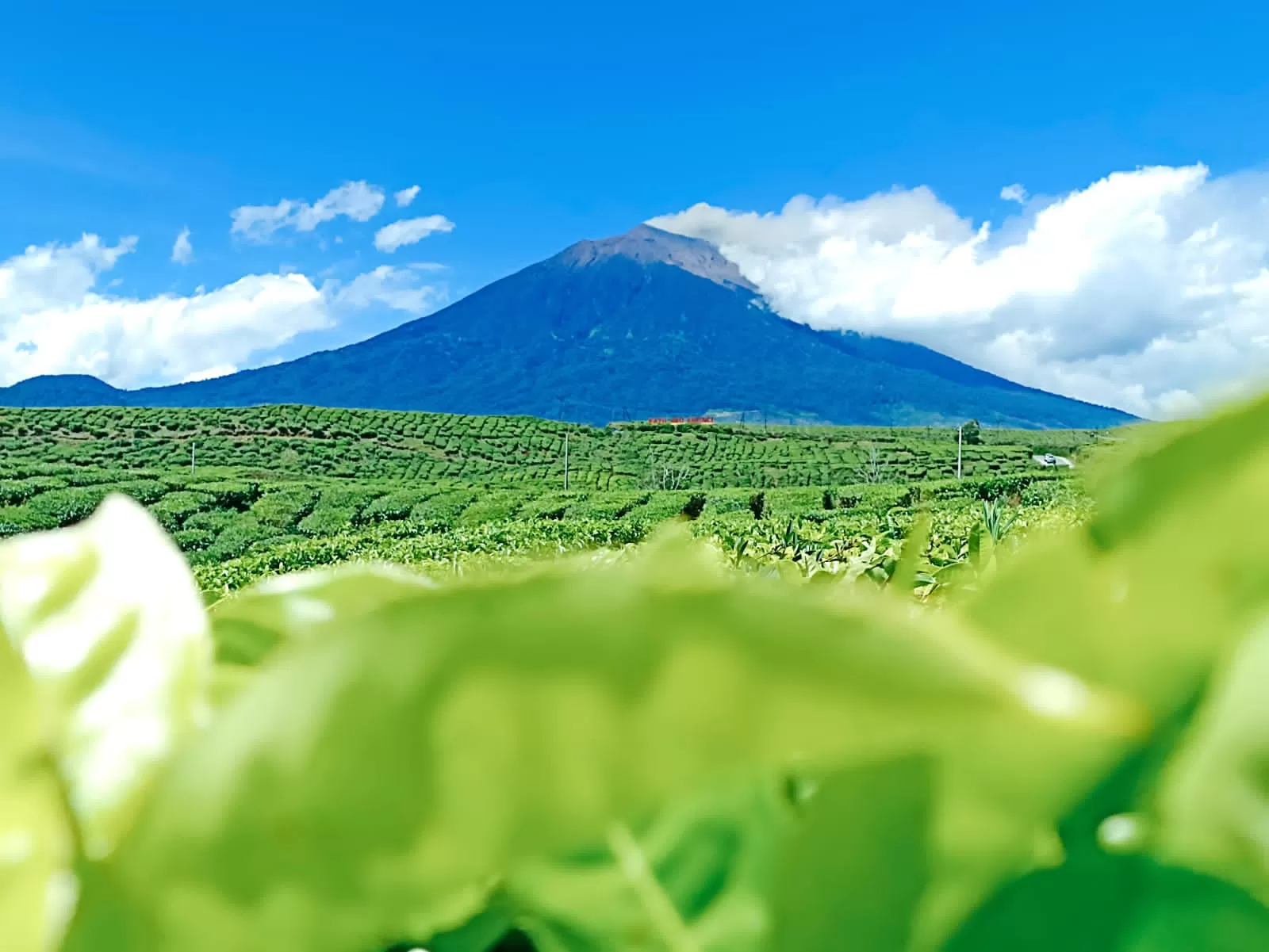 trek gunung kerinci