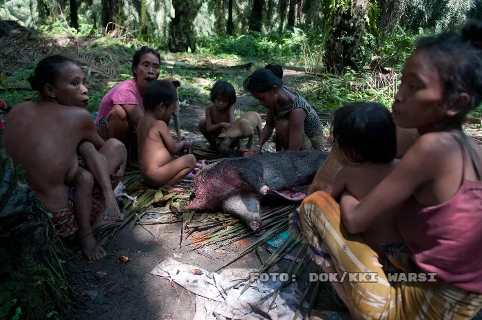 Orang Rimba mengurus daging hewan hasil buruan (foto: dok/kki warsi)