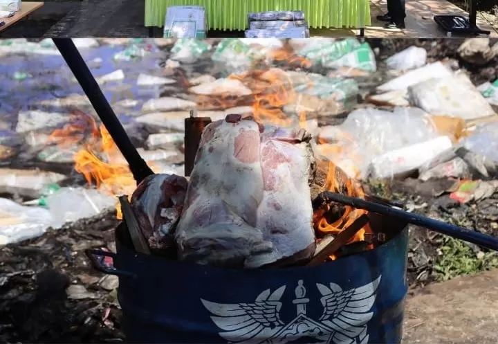 Pemusnahan daging ilegal dengan cara dibakar oleh Bea Cukai Bengkalis. (Ig @beacukaibengkalis)