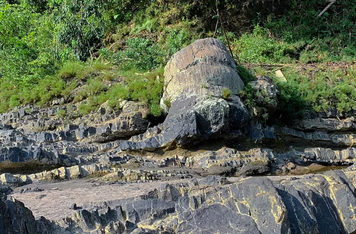 Fosili kayu, salah satu potensi di Geopark Merangin yang sudah masuk Unesco Global Geoparks. (geopark.meranginkab.go.i)