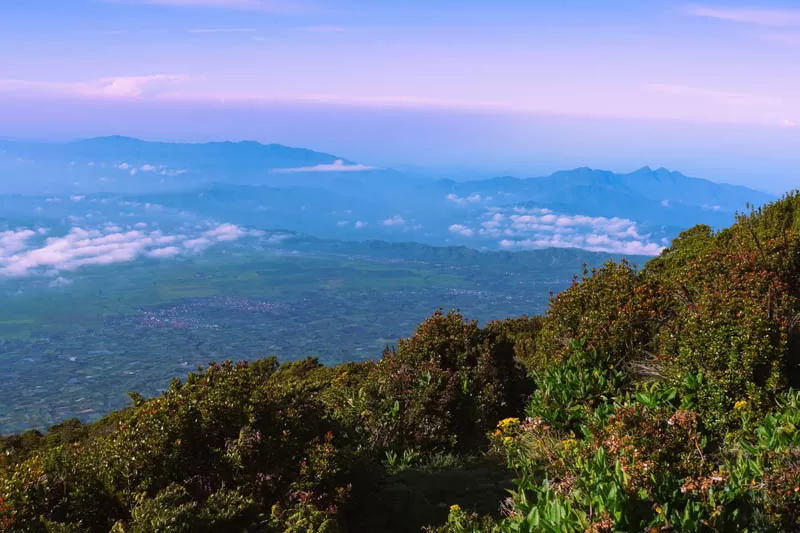 Kawasan hutan lindung TNKS dilihat dari ketinggian Gunung Kerinci. (Vinsent Alexandro/Unsplash)