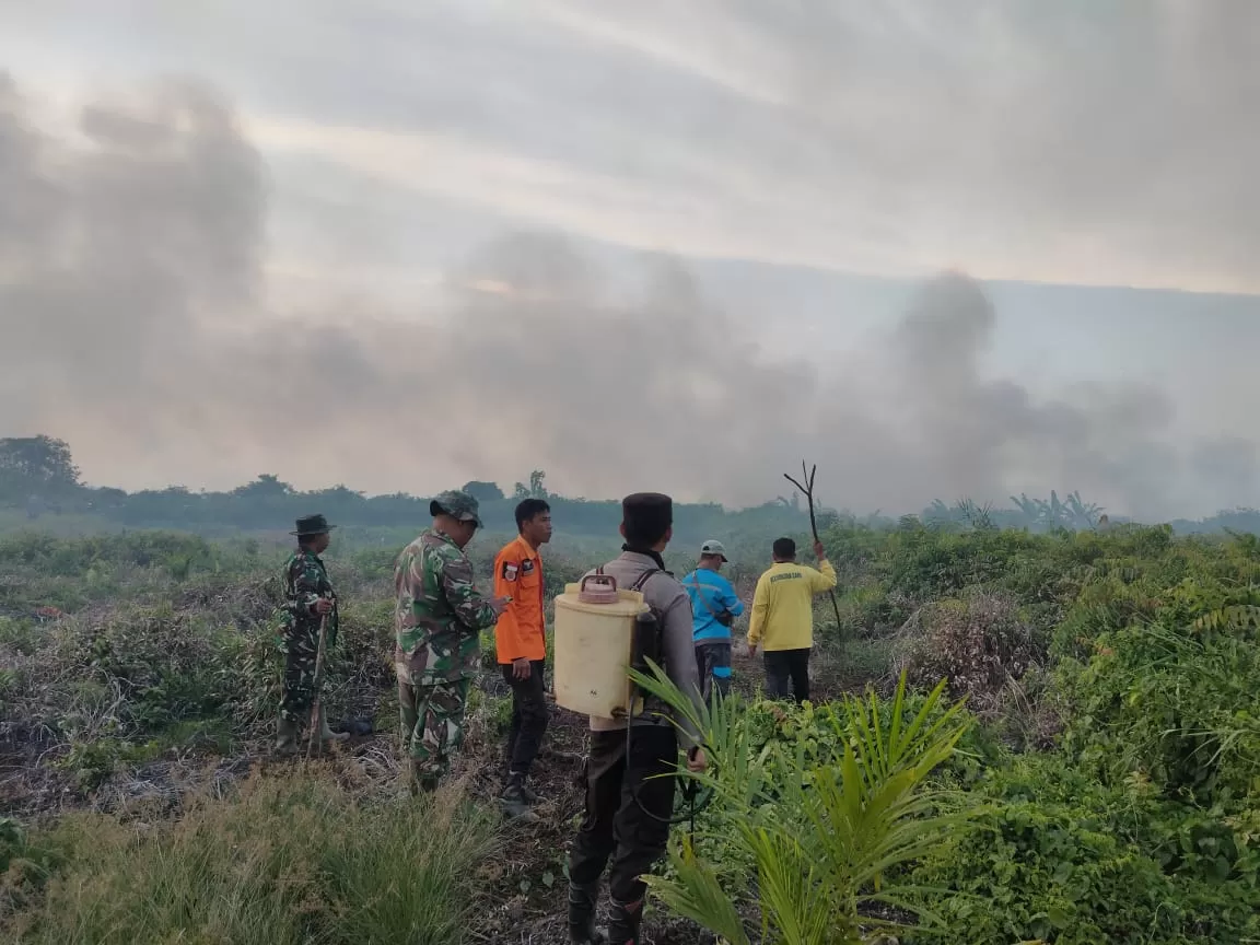 Petugas berusaha memadamkan api yang membakar lahan di Kecanatan Sadu (Dok Metrojambi.com)