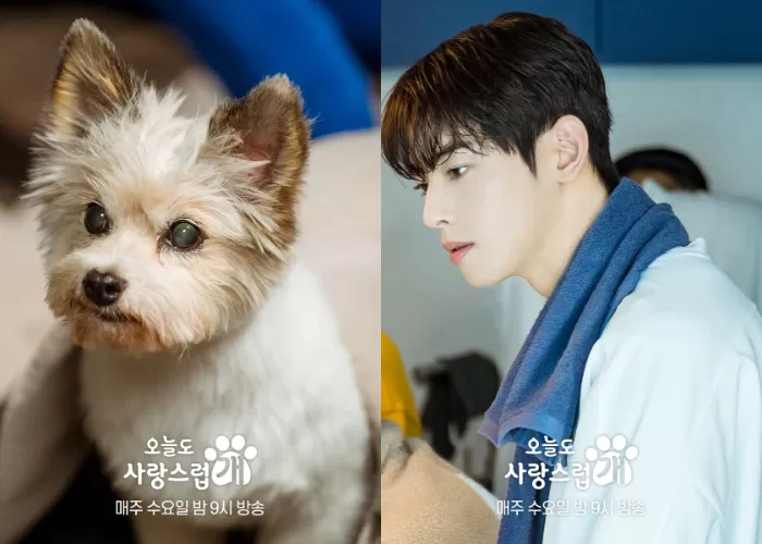 Ini yang Dilakukan Cha Eun Woo Sebelum Syuting Adegan Cium Anjing