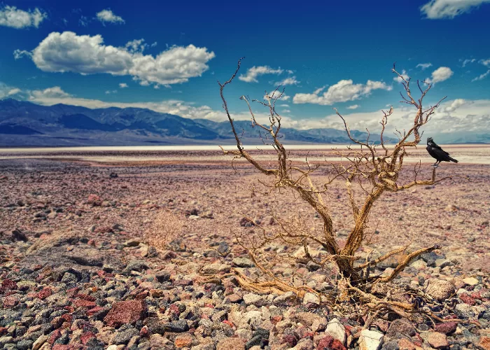 Mengenal Lebih Jauh Fenomena Alam El Nino - Akurat