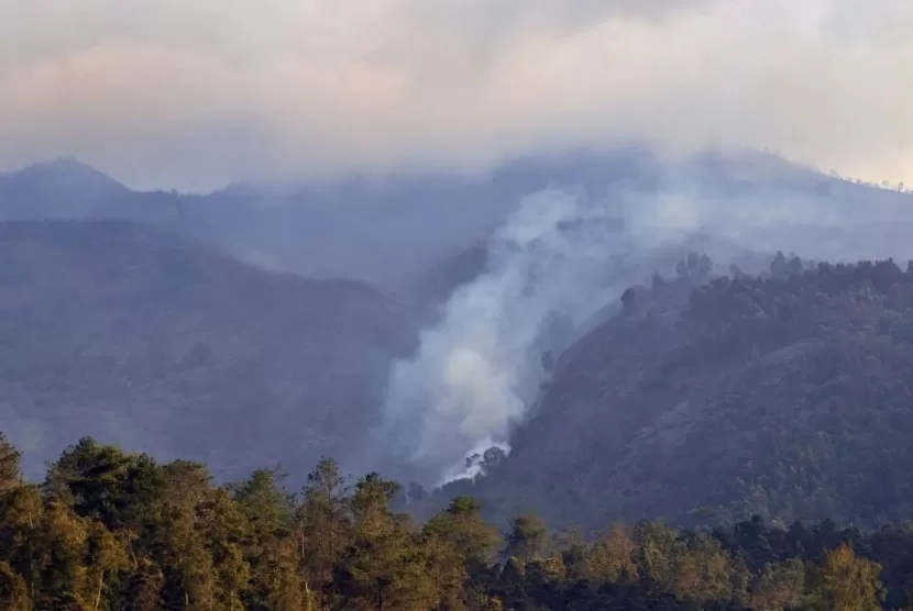 5 Fakta Kebakaran Hutan Gunung Merbabu, 400 Hektare Lahan Terbakar Dan ...