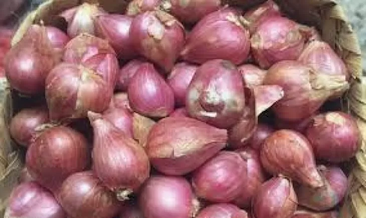 9 Manfaat Bawang Merah Untuk Kesehatan Mulai Dari Mencegah Kanker