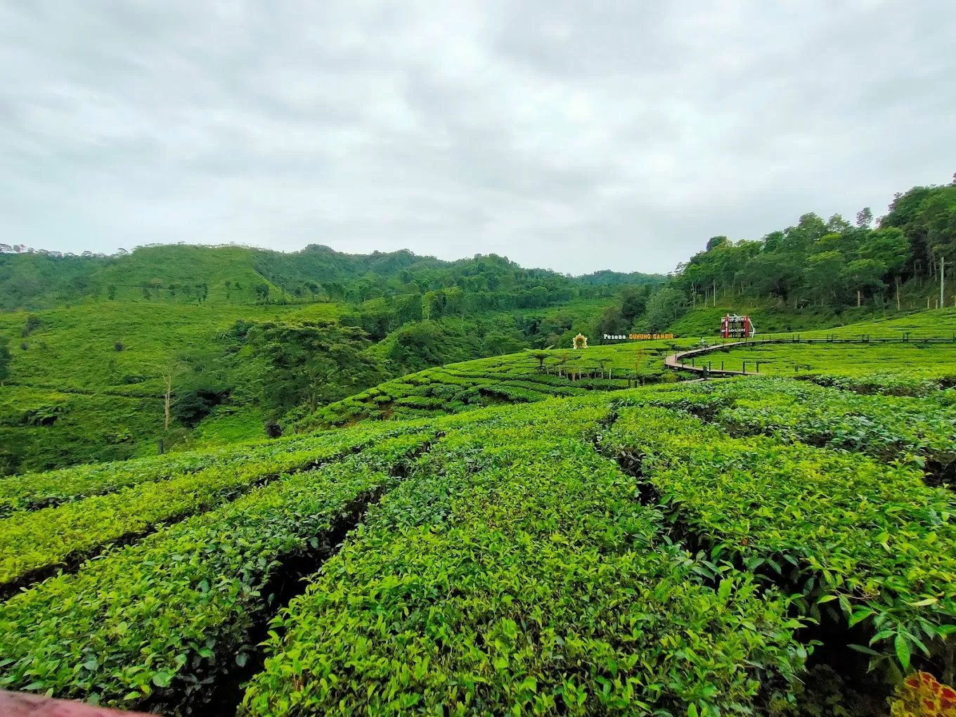 Mengunjungi Kediri Jangan Lupa Menikmati Alam Dengan Berlibur Ke Kebun