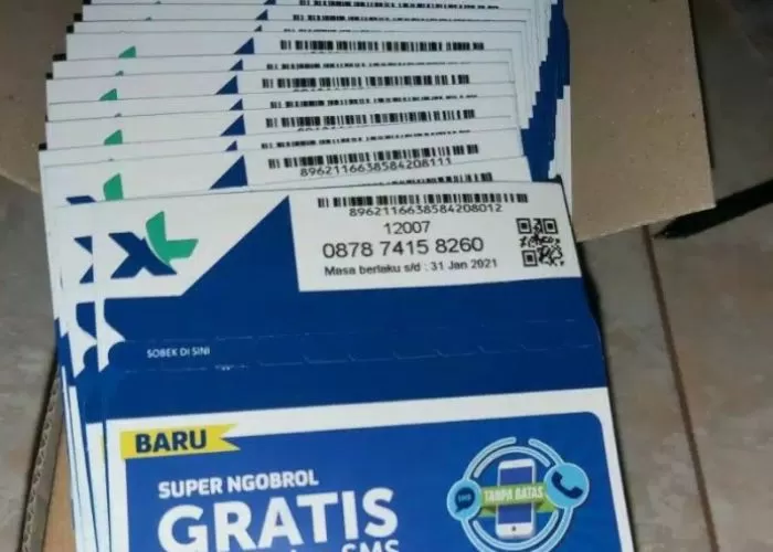 Ingin Terhindar Dari Penyalahgunaan Data, Segera Lakukan Registrasi ...