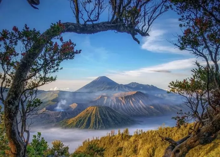 Nikmati Keindahan Sunrise Dari Puncak Gunung Bromo: Tips dan Panduan  Praktis - Akurat Jateng