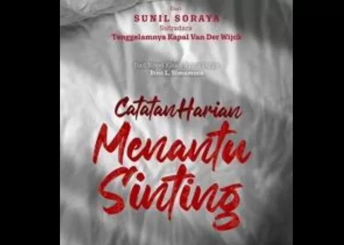 Sinopsis Film Catatan Harian Menantu Sinting: Kisah Komedi Romantis ...