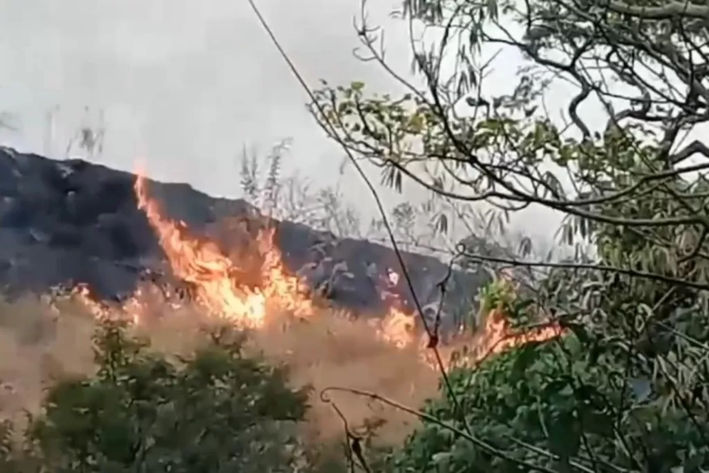 Kondisi Kering, Kawasan Gunung Arjuno-Welirang Masih Rawan Karhutla ...