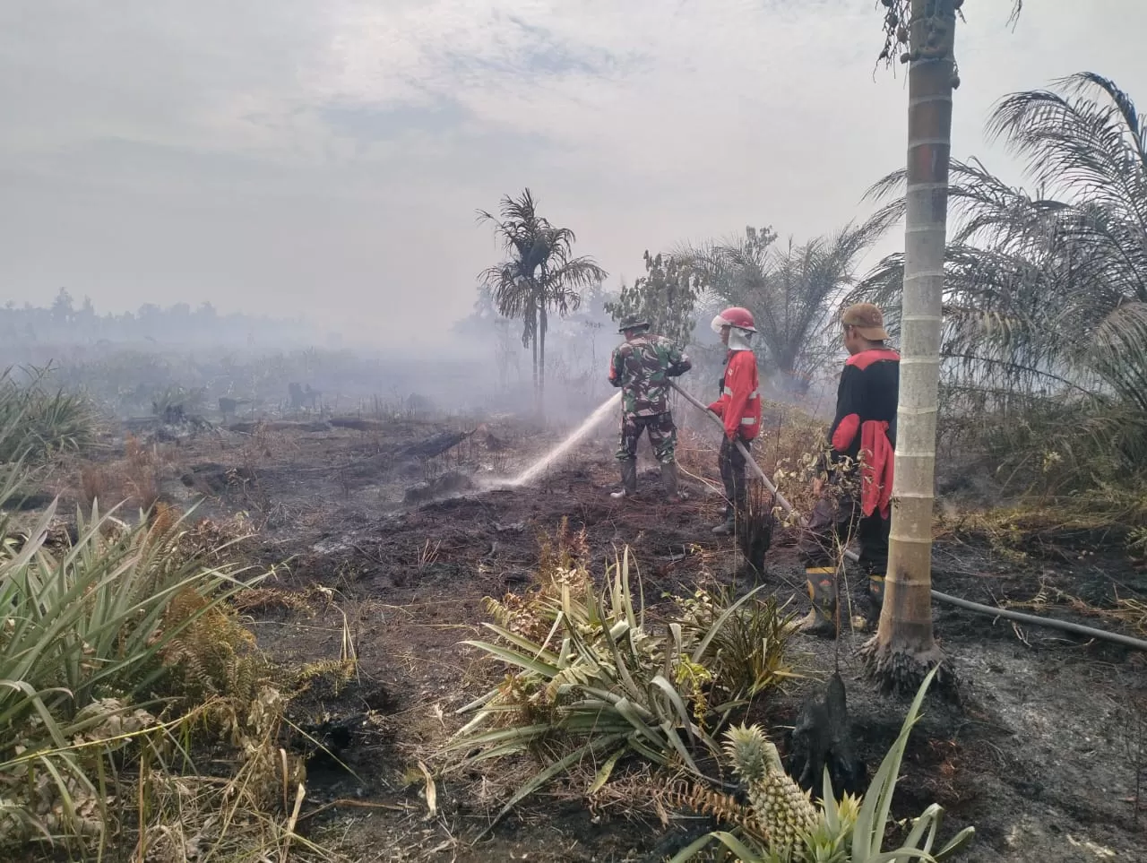Tim Satgas Karhutla memadamkan api yang membakar lahan di Desa Persiapan Air Merah, Kecamatan Sungai Gelam, Kabupaten Muaro Jambi. (Yufemri)