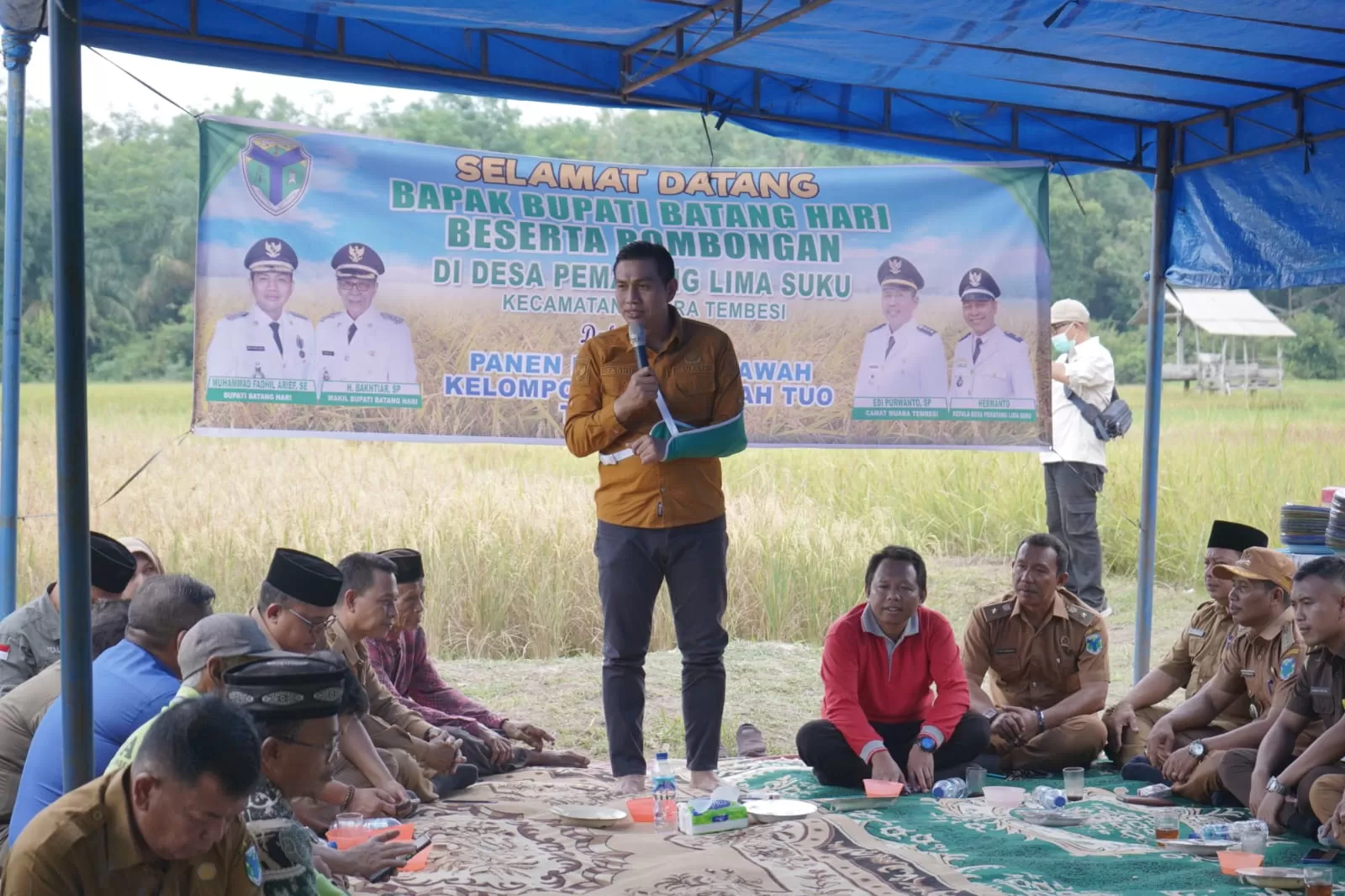 Bupati Batang Hari Panen Raya dengan Tangan Berbalut Perban bersama petani. (FOTO: Bambang Erwanto/Jambione.com)