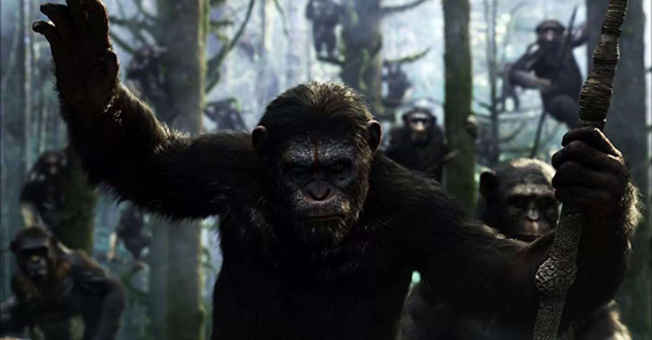 Kingdom of the Planet of the Apes: Perang Keras Antara Kera dan