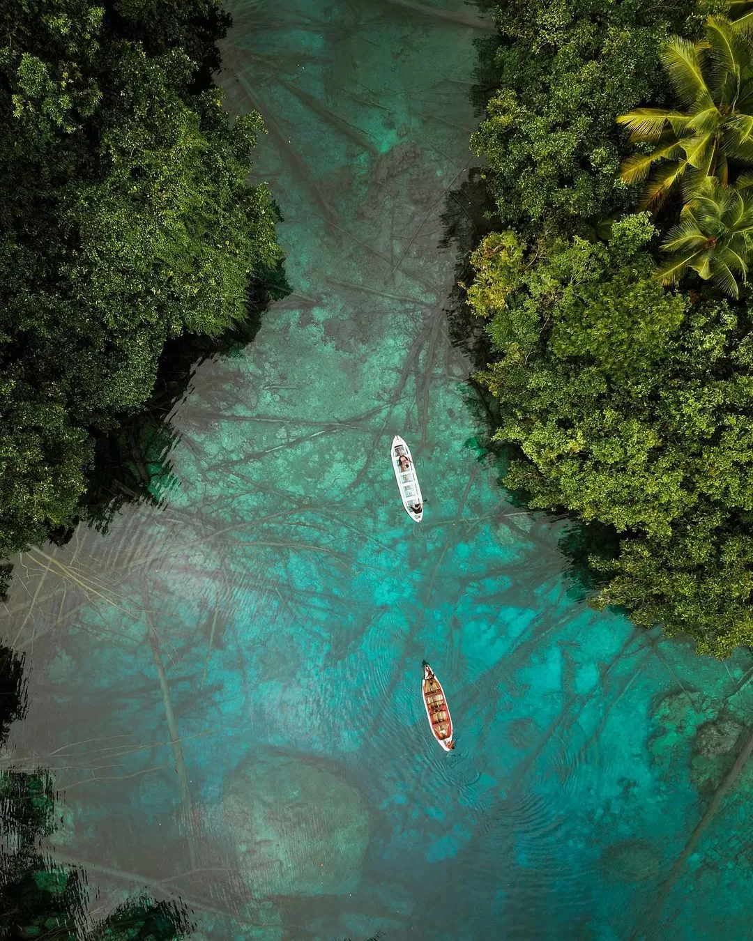 (Image by Michael Wagey taken in Paisupok Lake)