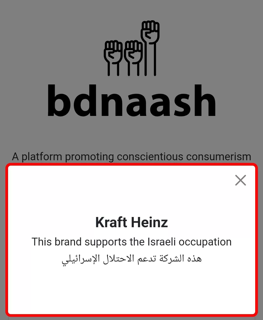 Situs Bdnaash yang dapat diakses untuk cek apakah produk pro Israel atau tidak. (Ricka Milla Suatin)