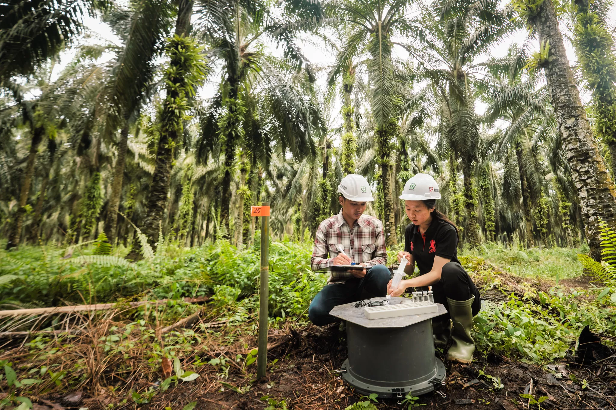 Belajar Dan Berkarier Bersama Beasiswa Sinar Mas Agribusiness And Food ...