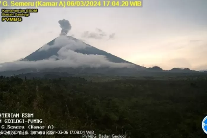 Semeru Kembali Erupsi Dengan Letusan Setinggi 800 Meter - Sidoarjo Kini