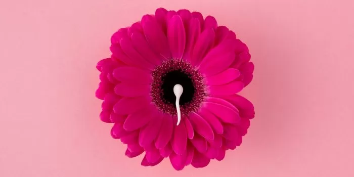 Fertilisasi in vitro (bayi tabung) (Freepik/freepik)