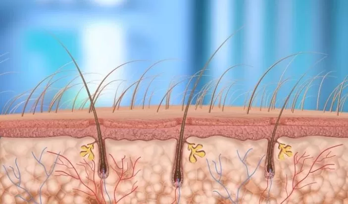 peradangan di kulit (freepik/heromen30)