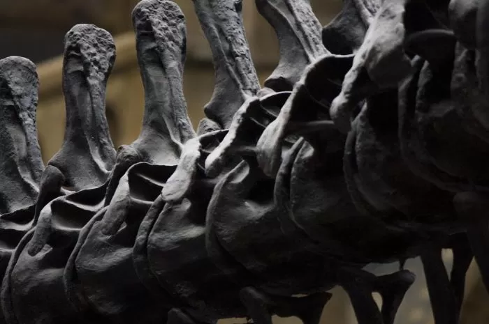 Ilustrasi kanker tulang yang berbahaya (Pixabay/@OltreCreativeAgency)